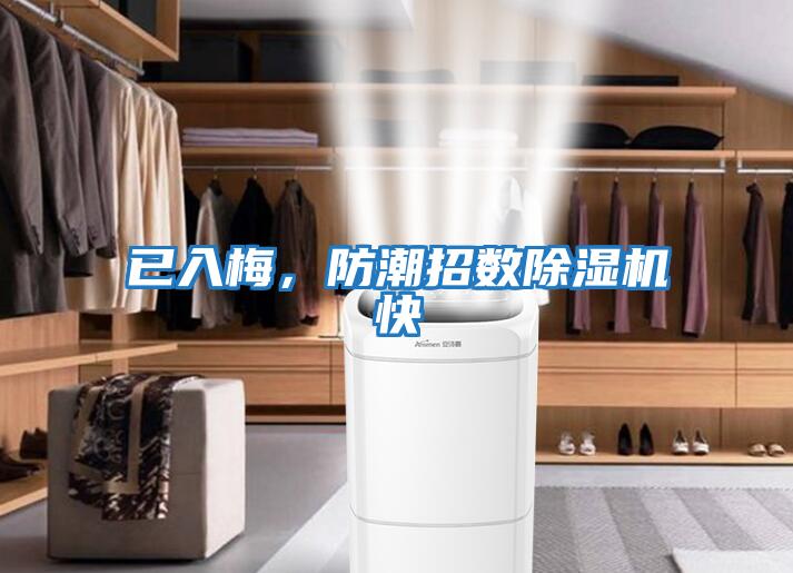 已入梅，防潮招數(shù)除濕機快