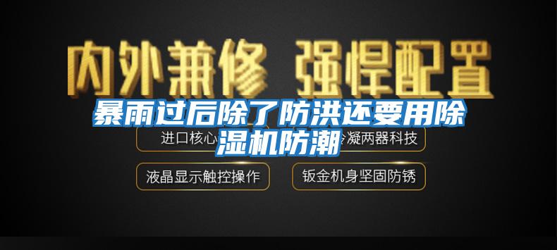 暴雨過后除了防洪還要用除濕機(jī)防潮
