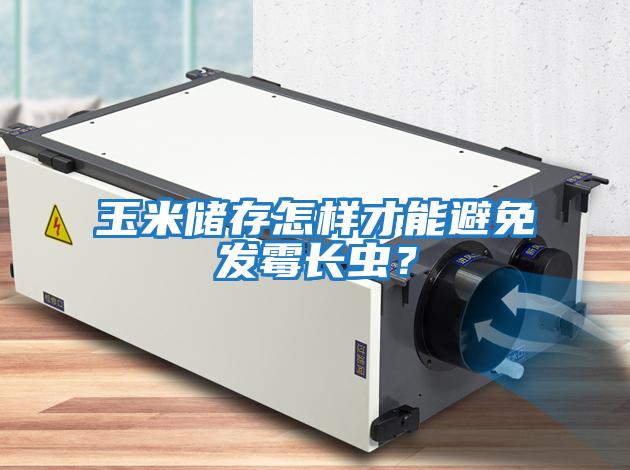 玉米儲存怎樣才能避免發霉長蟲？