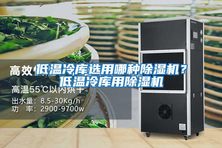 低溫冷庫(kù)選用哪種除濕機(jī)？低溫冷庫(kù)用除濕機(jī)