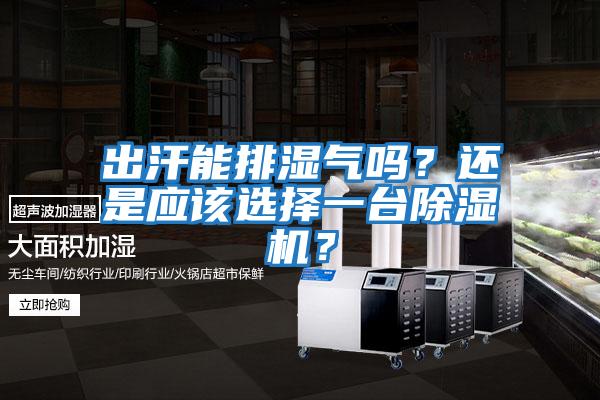 出汗能排濕氣嗎？還是應該選擇一臺除濕機？