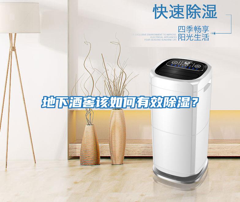 地下酒窖該如何有效除濕？