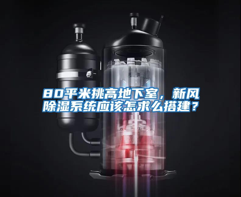 80平米挑高地下室，新風(fēng)除濕系統(tǒng)應(yīng)該怎求么搭建？