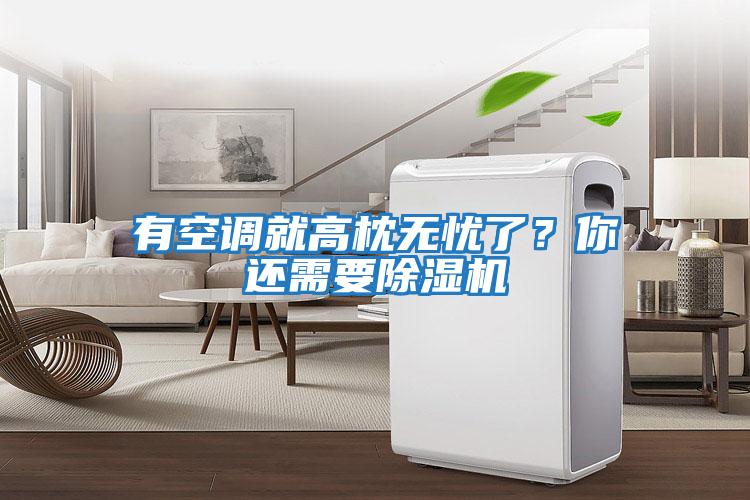 有空調(diào)就高枕無憂了？你還需要除濕機(jī)