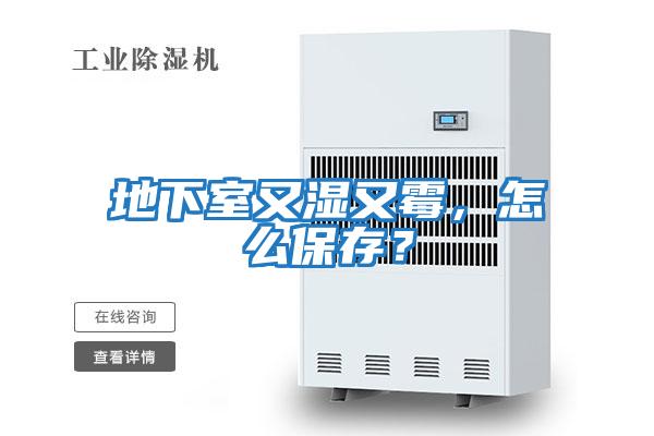 地下室又濕又霉，怎么保存？