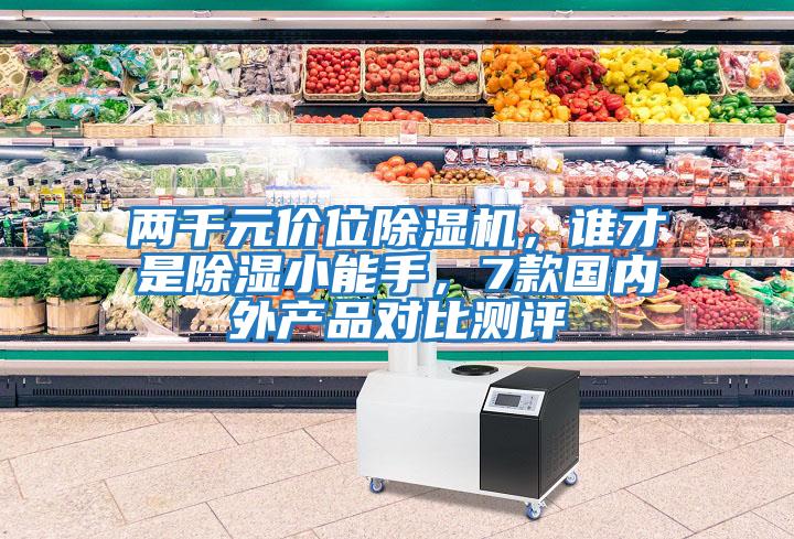 兩千元價位除濕機，誰才是除濕小能手，7款國內外產品對比測評