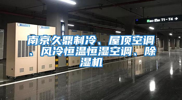 南京久鼎制冷、屋頂空調(diào)、風(fēng)冷恒溫恒濕空調(diào)、除濕機