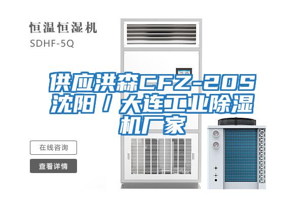 供應(yīng)洪森CFZ-20S沈陽／大連工業(yè)除濕機(jī)廠家