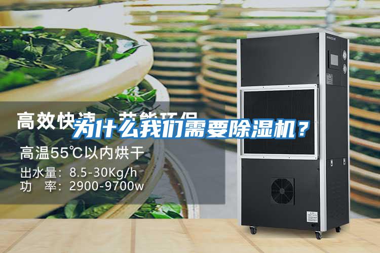 為什么我們需要除濕機？