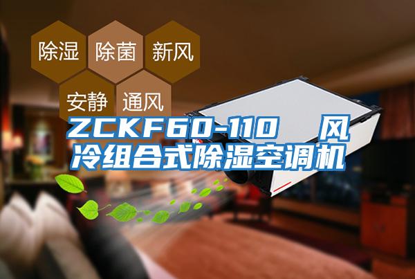 ZCKF60-110  風冷組合式除濕空調機