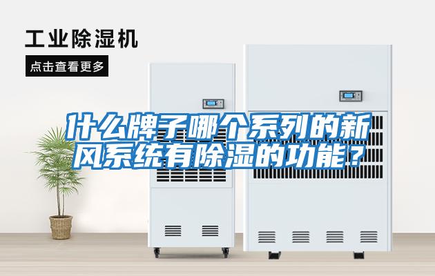 什么牌子哪個系列的新風(fēng)系統(tǒng)有除濕的功能？