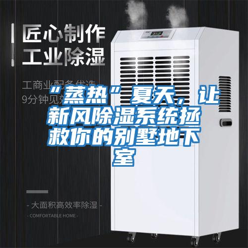 “蒸熱”夏天，讓新風除濕系統(tǒng)拯救你的別墅地下室