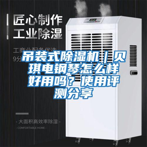 吊裝式除濕機(jī)｜貝琪電鋼琴怎么樣好用嗎？使用評(píng)測(cè)分享