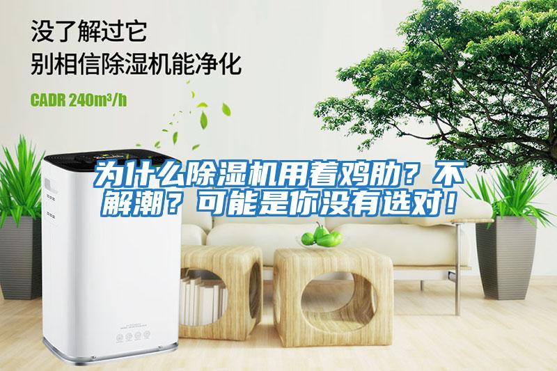 為什么除濕機用著雞肋？不解潮？可能是你沒有選對！