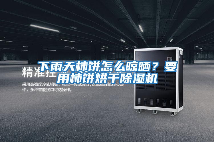 下雨天柿餅怎么晾曬？要用柿餅烘干除濕機