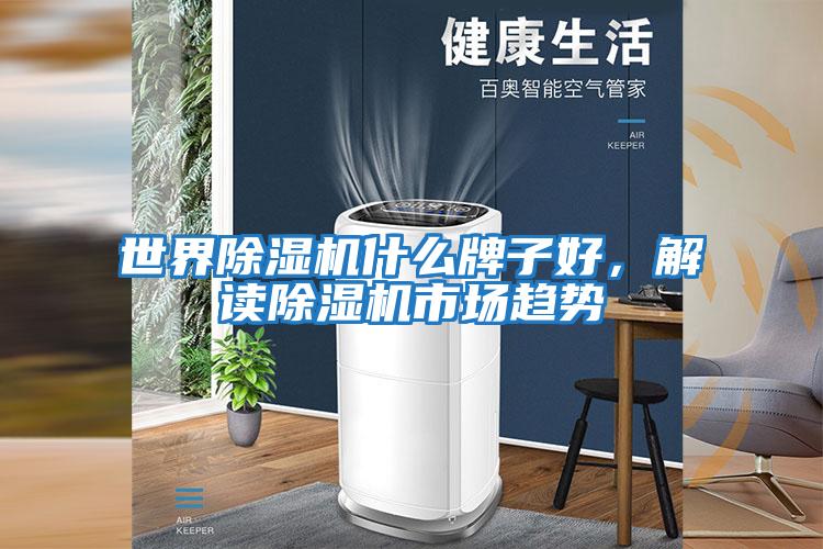 世界除濕機(jī)什么牌子好，解讀除濕機(jī)市場趨勢