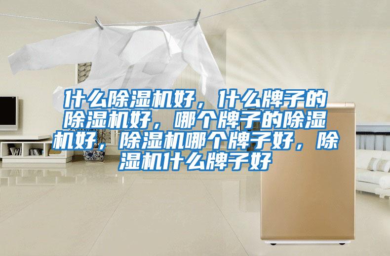 什么除濕機好，什么牌子的除濕機好，哪個牌子的除濕機好，除濕機哪個牌子好，除濕機什么牌子好