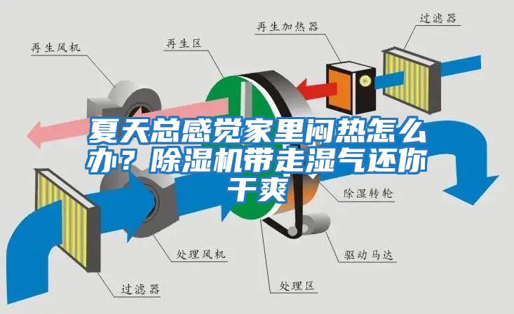 夏天總感覺家里悶熱怎么辦？除濕機(jī)帶走濕氣還你干爽