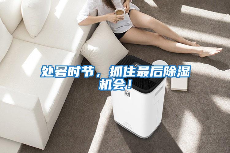 處暑時節(jié)，抓住最后除濕機會！