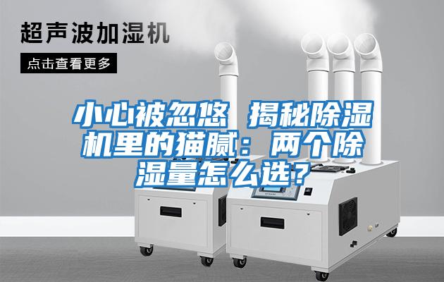 小心被忽悠 揭秘除濕機里的貓膩：兩個除濕量怎么選？