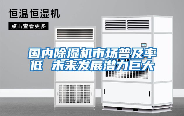 國(guó)內(nèi)除濕機(jī)市場(chǎng)普及率低 未來(lái)發(fā)展?jié)摿薮?/></p>
						    <p style=