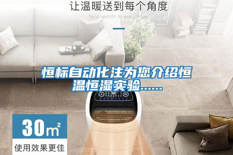 恒標(biāo)自動化注為您介紹恒溫恒濕實驗......