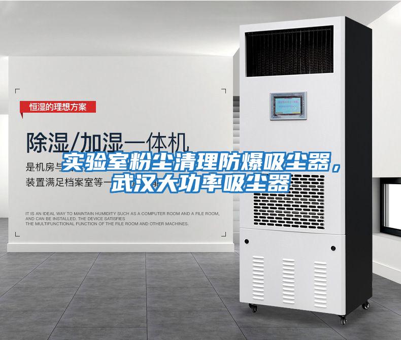 實驗室粉塵清理防爆吸塵器，武漢大功率吸塵器