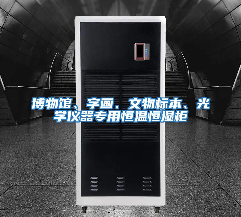 博物館、字畫(huà)、文物標(biāo)本、光學(xué)儀器專(zhuān)用恒溫恒濕柜