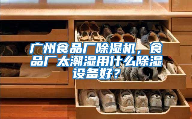 廣州食品廠除濕機(jī)，食品廠太潮濕用什么除濕設(shè)備好？