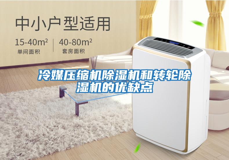 冷媒壓縮機(jī)除濕機(jī)和轉(zhuǎn)輪除濕機(jī)的優(yōu)缺點
