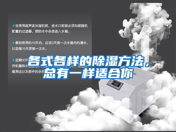 各式各樣的除濕方法，總有一樣適合你