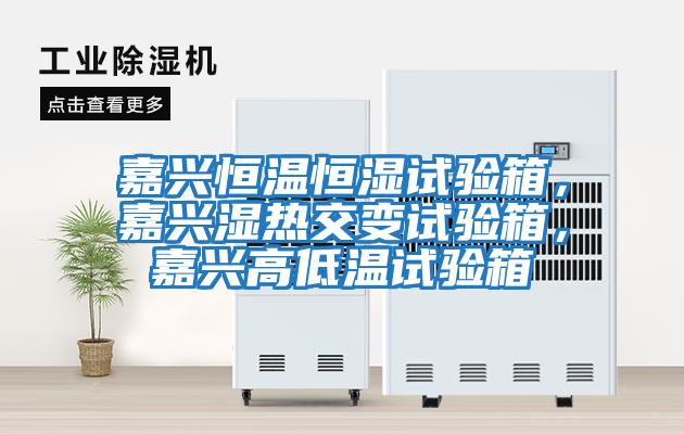 嘉興恒溫恒濕試驗(yàn)箱，嘉興濕熱交變試驗(yàn)箱，嘉興高低溫試驗(yàn)箱