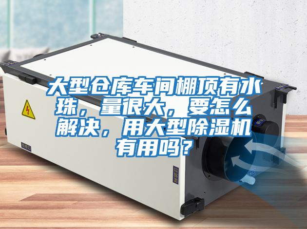 大型倉庫車間棚頂有水珠，量很大，要怎么解決，用大型除濕機有用嗎？