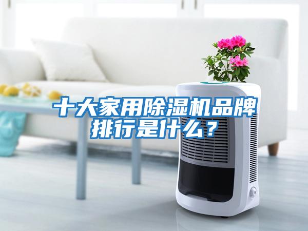 十大家用除濕機(jī)品牌排行是什么？