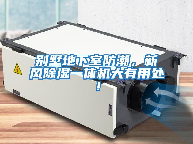 別墅地下室防潮，新風(fēng)除濕一體機(jī)大有用處！