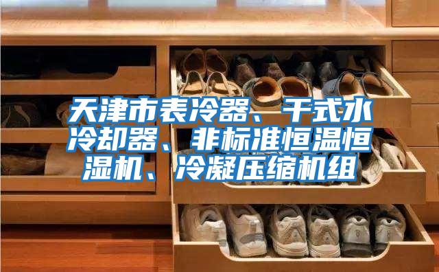 天津市表冷器、干式水冷卻器、非標(biāo)準(zhǔn)恒溫恒濕機、冷凝壓縮機組