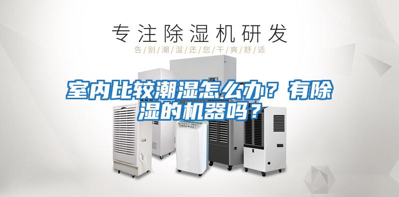 室內比較潮濕怎么辦？有除濕的機器嗎？