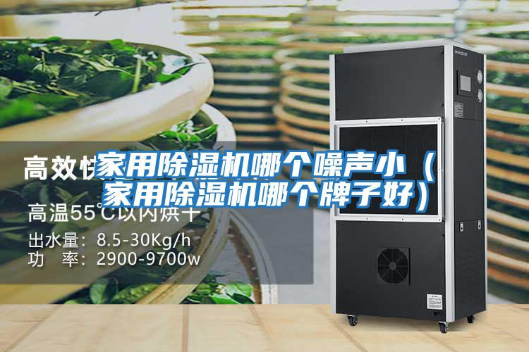 家用除濕機(jī)哪個(gè)噪聲小（家用除濕機(jī)哪個(gè)牌子好）