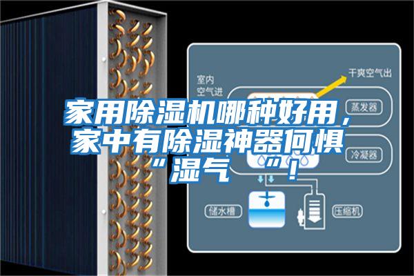 家用除濕機哪種好用，家中有除濕神器何懼 “濕氣 “！