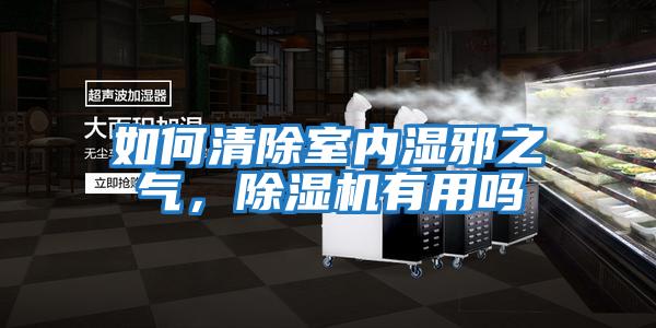 如何清除室內濕邪之氣，除濕機有用嗎