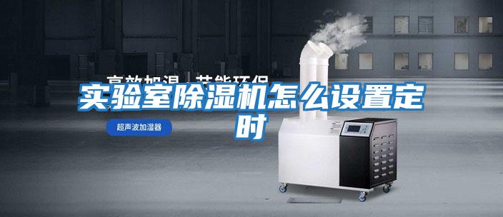 實驗室除濕機怎么設(shè)置定時