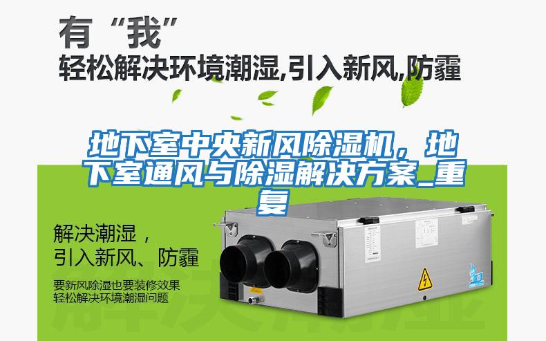 地下室中央新風(fēng)除濕機，地下室通風(fēng)與除濕解決方案_重復(fù)