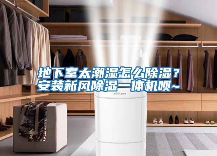 地下室太潮濕怎么除濕？安裝新風除濕一體機唄~