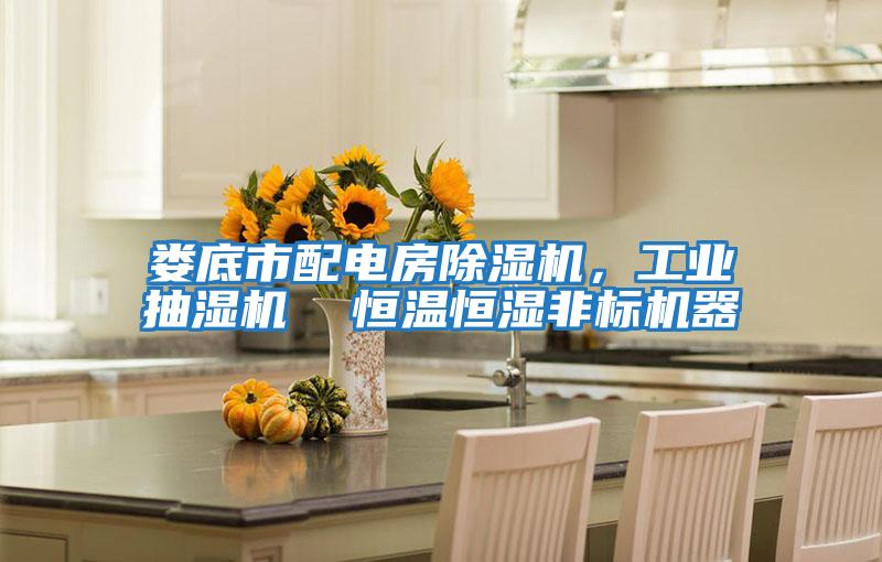 婁底市配電房除濕機，工業(yè)抽濕機  恒溫恒濕非標機器