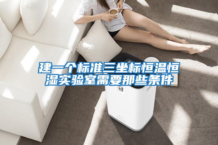 建一個標(biāo)準(zhǔn)三坐標(biāo)恒溫恒濕實(shí)驗室需要那些條件