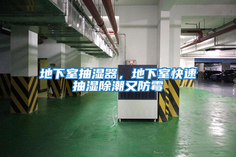 地下室抽濕器，地下室快速抽濕除潮又防霉