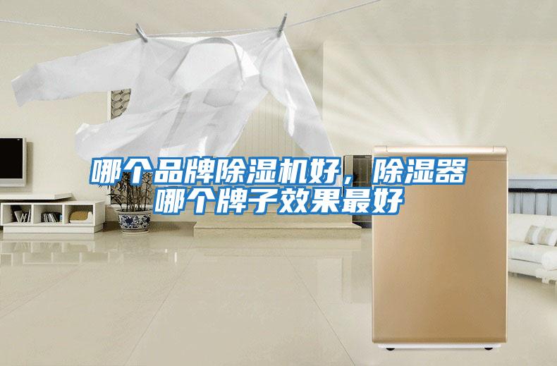 哪個(gè)品牌除濕機(jī)好，除濕器哪個(gè)牌子效果最好
