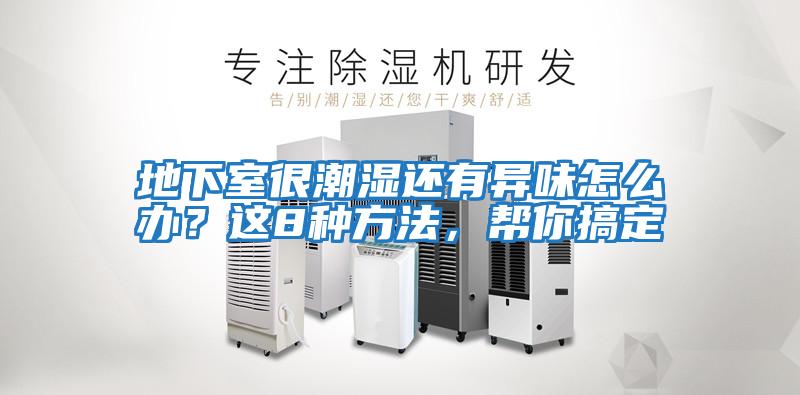 地下室很潮濕還有異味怎么辦？這8種方法，幫你搞定