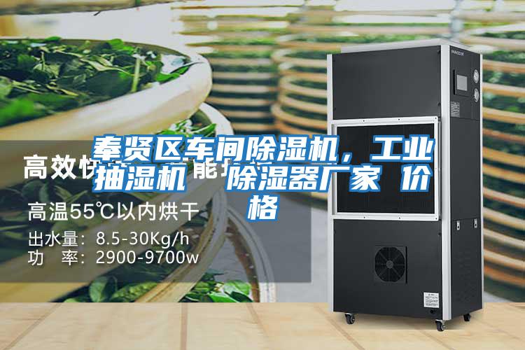奉賢區車間除濕機，工業抽濕機  除濕器廠家 價格