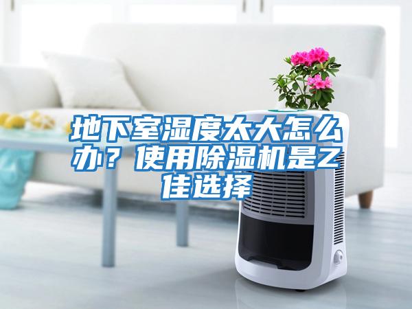地下室濕度太大怎么辦？使用除濕機是Z佳選擇